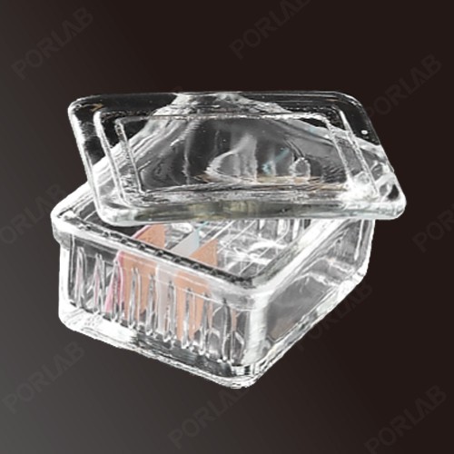 STAINING JAR, GLASS, WITH COVER, 10 PLACE, SCHIFFERDECKER TYPE