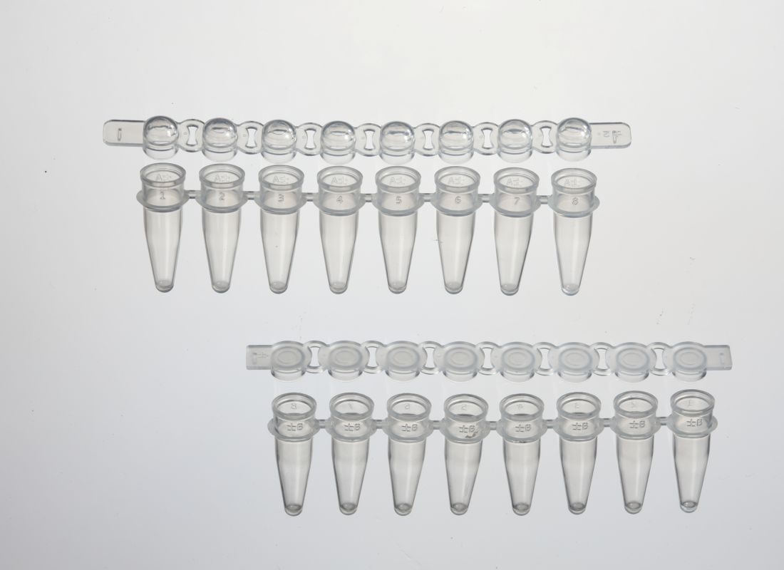 qPCR 8-TUBE STRIP, WITH OPTICAL CAPS, 0.2ML