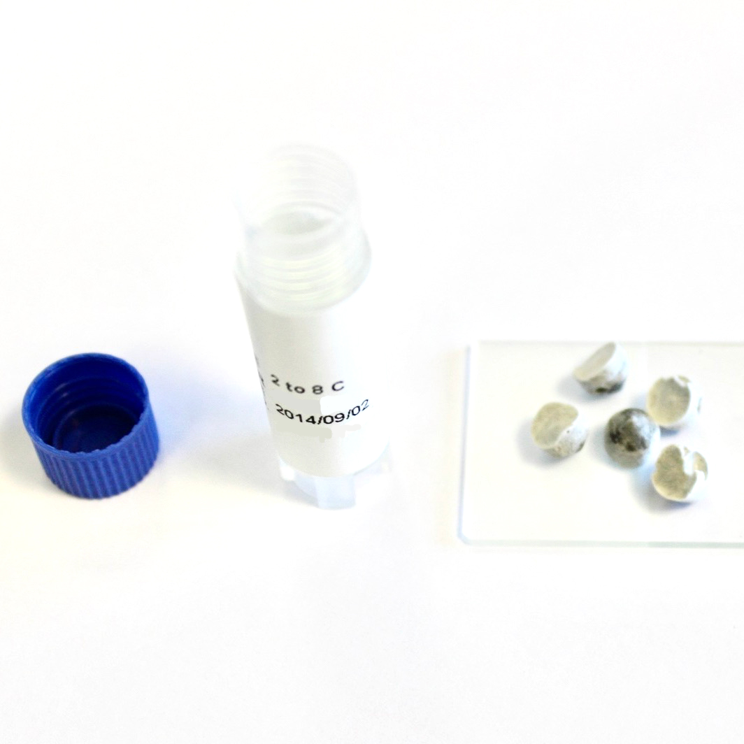 Candida albicans ATCC ® 10231, 5 pellets
