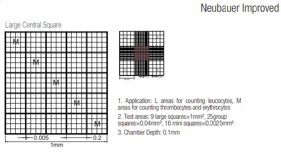 COUNTING CHAMBER SLIDES, NEUBAUER IMPROVED, REGULAR LINE GRAVING