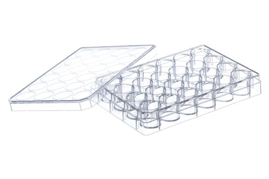 PLATES FOR CELL CULTURE, 24 WELL, PS, WITH LID, CLEAR, STERILE